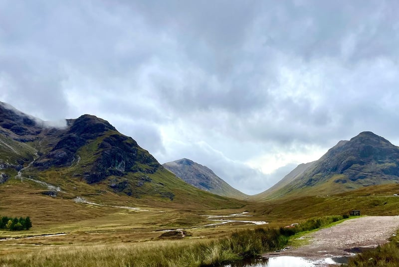 Fairy Glens